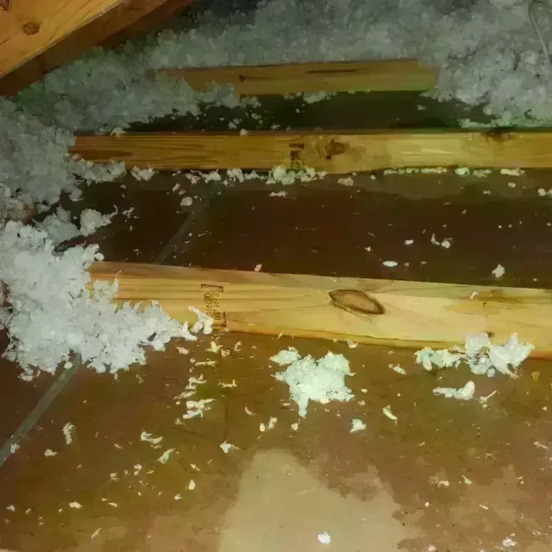 Attic Water Damage in Cloverdale, VA